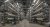 Lower water, chemical and disposal costs
