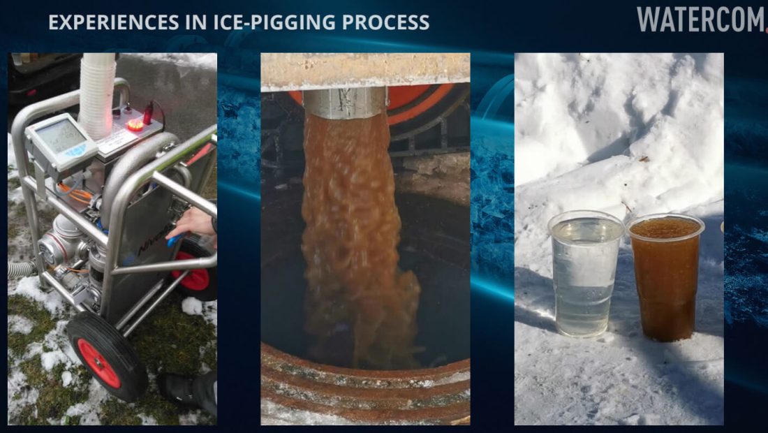 Experiences in Ice Pigging Process